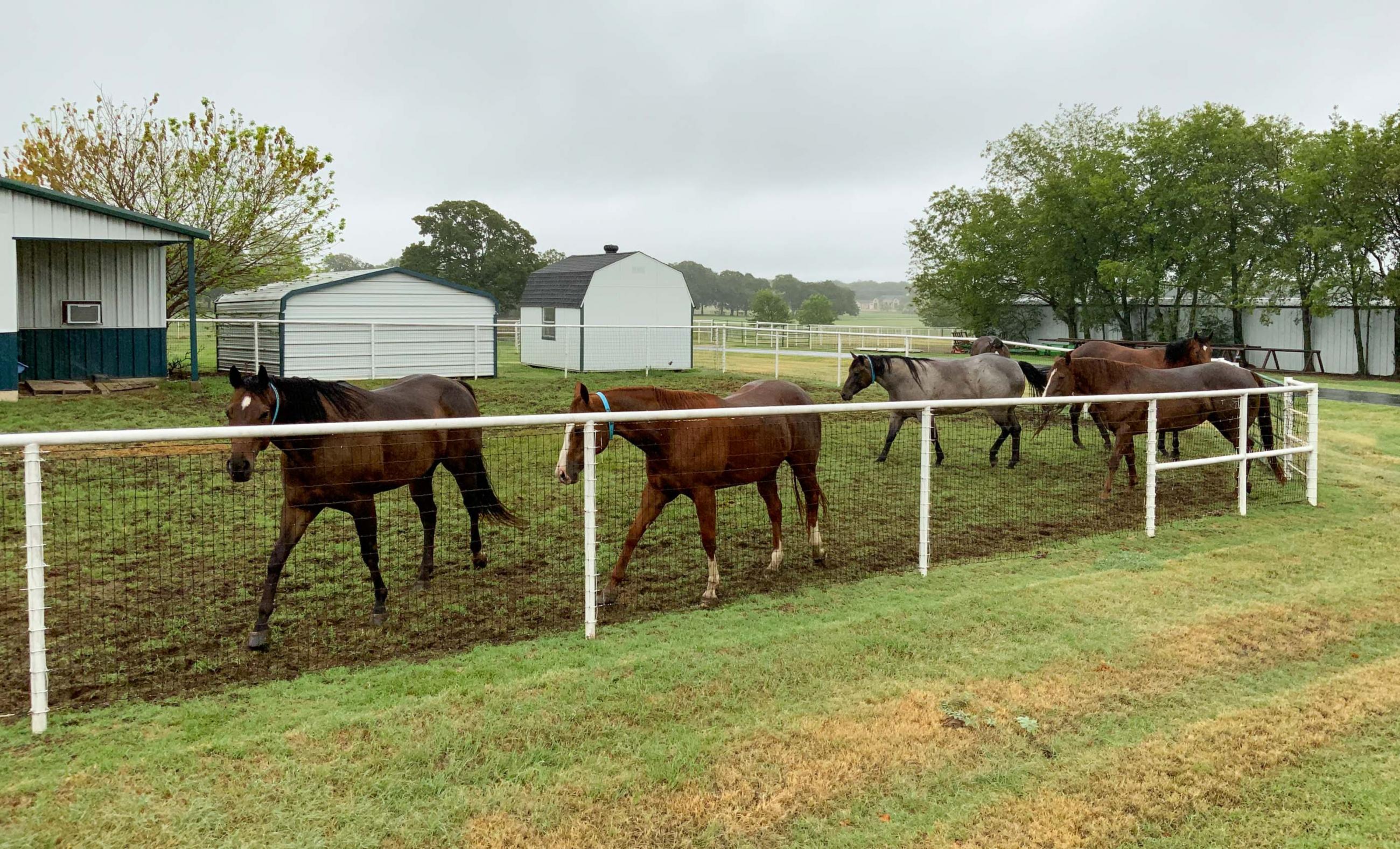 Argyle Equestrian Estate Chas S. Middleton
